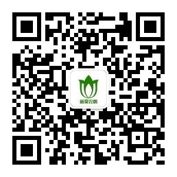 新吴农情